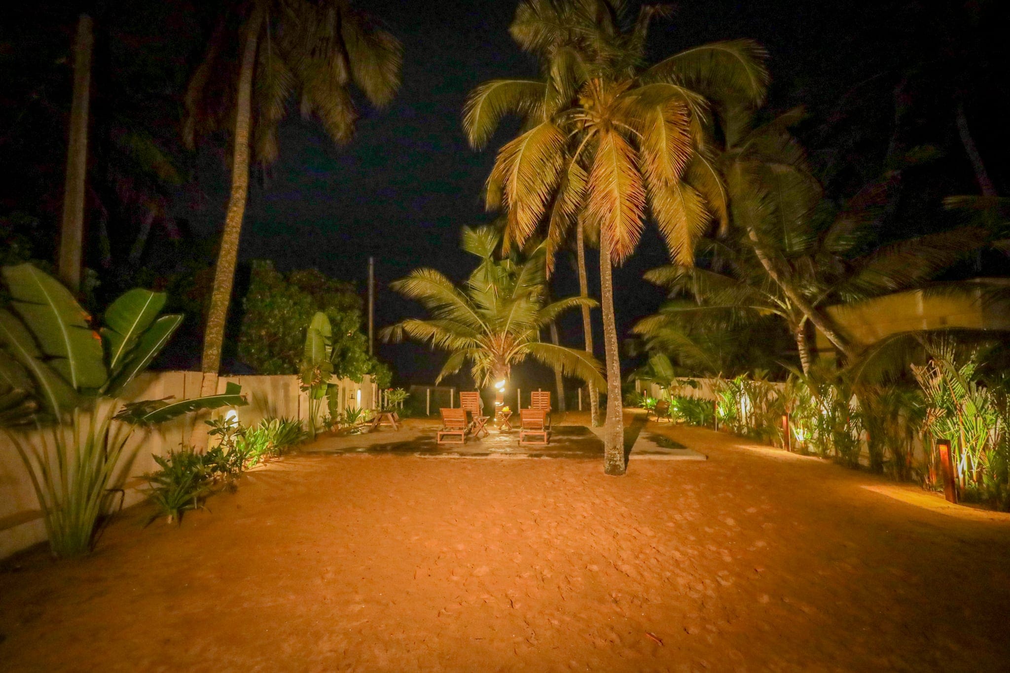 Lamp-lit coconut-grove garden at dusk at Heyday by the Sea, Veli, Thiruvananthapuram, Kerala