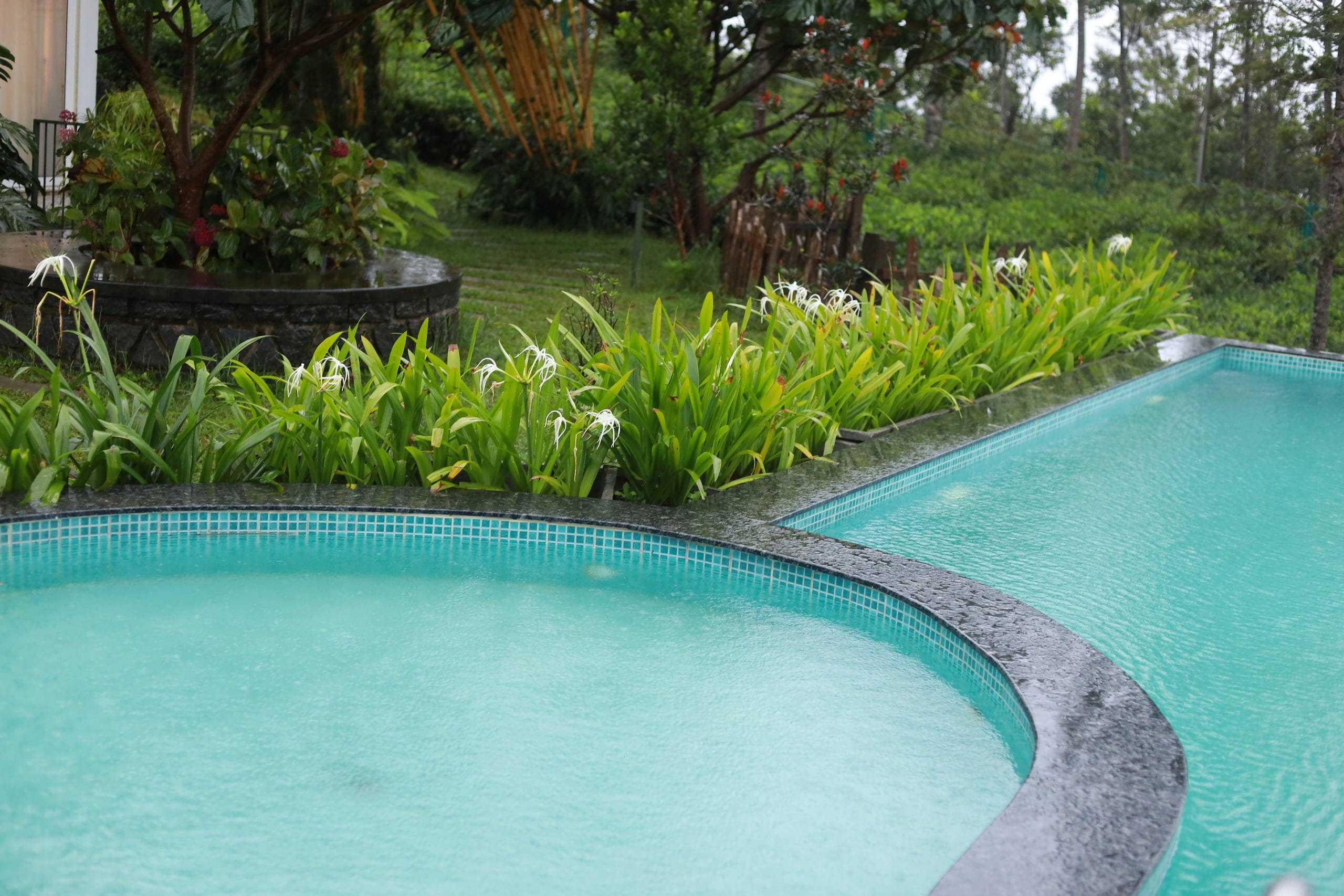 Heated infinity pool ringed by greenery at Heyday Vagamon, Vagamon, Idukki, Kerala